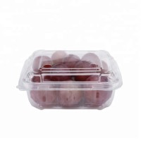 FOOD SAFE Wholesale Transparent Clamshell Clear PET Blister Salad Box For Fresh Fruits 125g